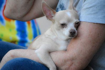 Midsection of man with dog