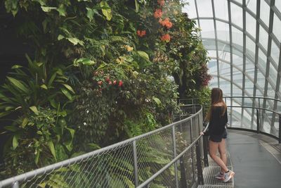 Side view of woman standing by plants