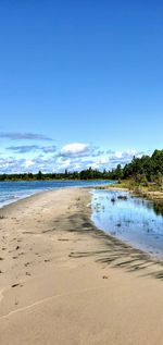 Scenic view of beach against blue sky