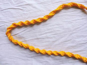 Close-up of yellow flowers against white background