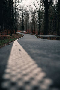 Surface level of road amidst trees in forest