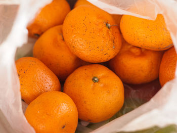 Close-up of oranges