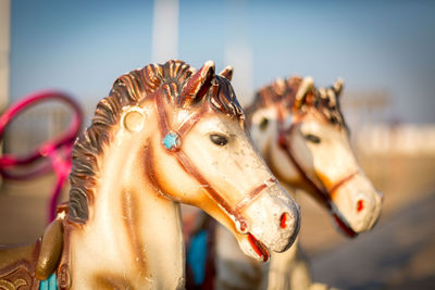 Close-up of carousel in amusement park