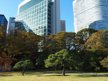 Trees by modern buildings against sky in city