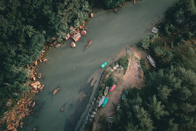 High angle view of trees by sea