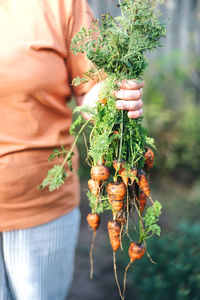 Midsection of person holding carrot