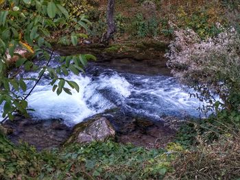 Stream flowing through rocks in forest