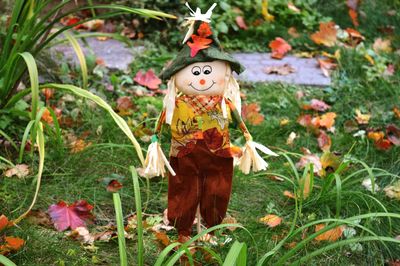 High angle view of figurine on field during autumn