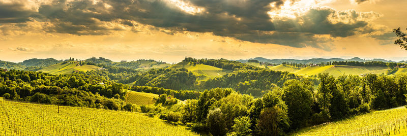 Scenic view of field against sky during sunset