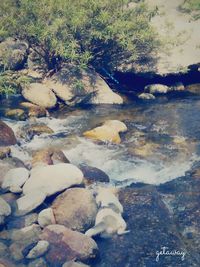 River flowing through rocks