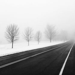 Empty road along trees