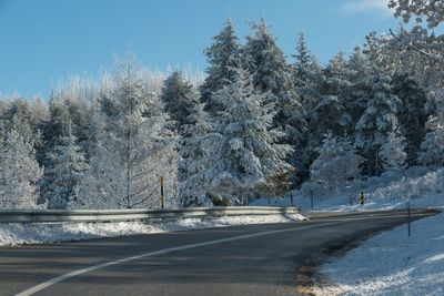 Snow covered road by trees against sky