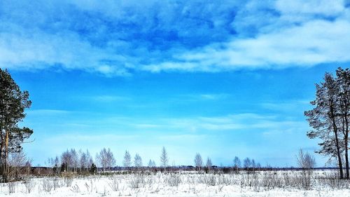 Snow covered field against sky