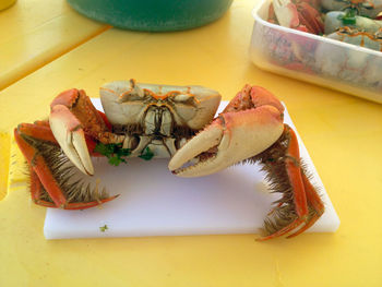 Close-up of crab in plate on table