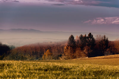 Scenic view of field against sky during sunset