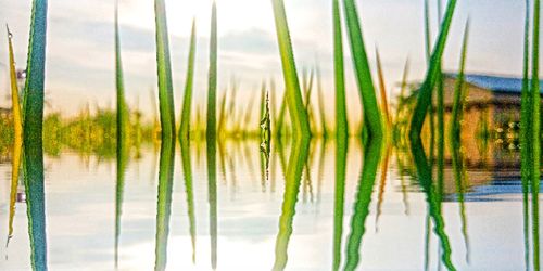 Scenic view of lake against sky
