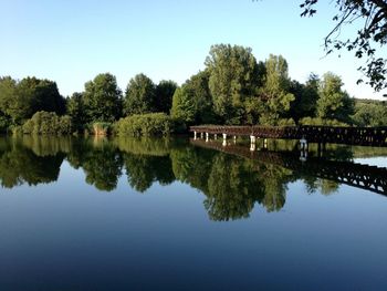 Reflection of trees in calm lake