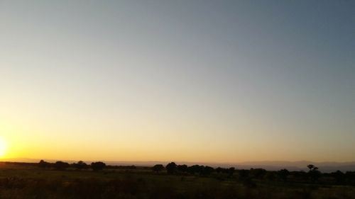 Scenic view of field against clear sky during sunset