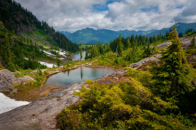 Heather meadows, mt. baker, washington. summer on the chain lakes trail.