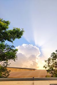 View against sky light during sunset