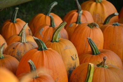 Pumpkins for sale