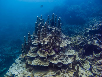 The edge of the coral reef