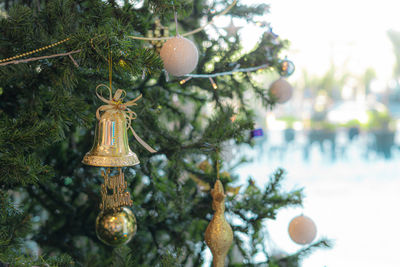 Close-up of christmas decorations hanging on tree