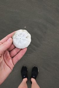 Low section of person holding ice cream