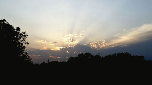 Silhouette trees against sky during sunset