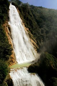 Scenic view of waterfall in forest