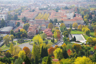 High angle view of trees