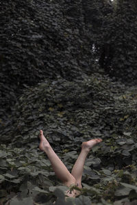 Legs in air surrounded by kudzu 