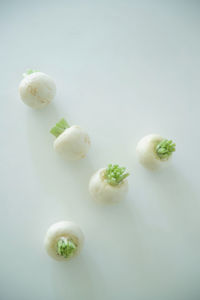 High angle view of vegetables on white background