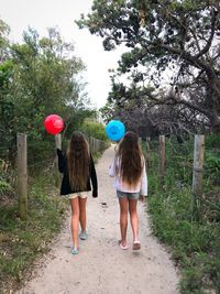 Rear view of women walking on road