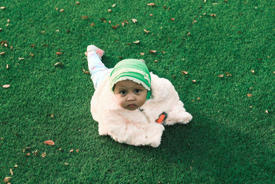 High angle view of dog on grassy field