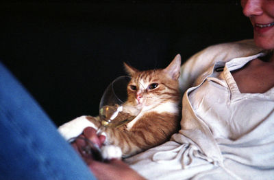 Midsection of woman feeding wine to cat at home