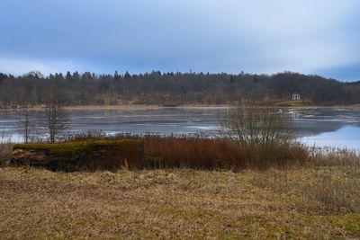 Scenic view of lake by trees against sky