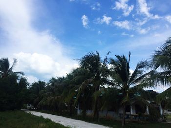 Scenic view of palm trees on landscape against sky