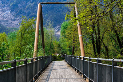 Footbridge amidst trees in forest