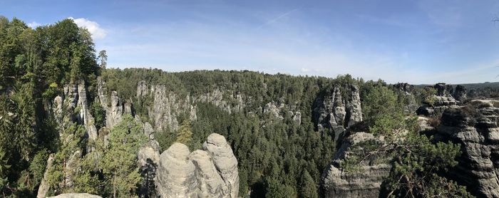 Panoramic view of forest against sky