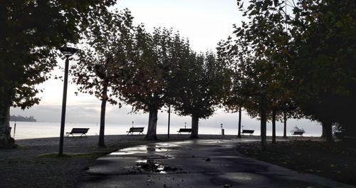 Trees on road by sea against clear sky