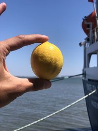 Cropped hand of person holding fruit