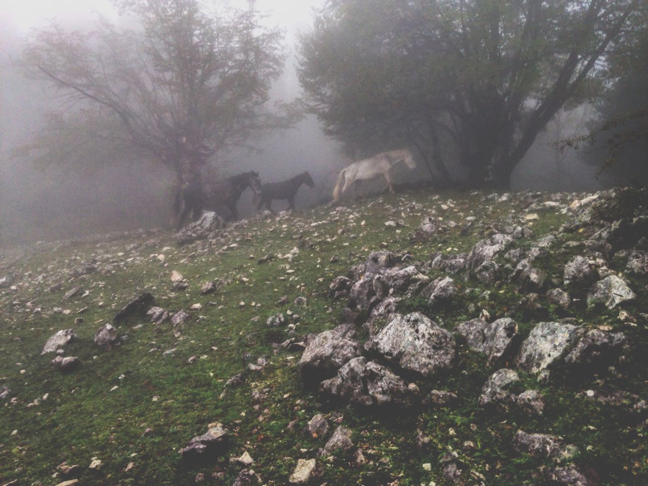 Parco nazionale monti lucretili