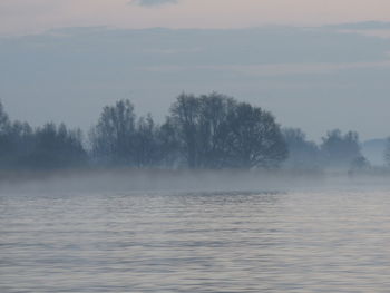 Scenic view of lake with trees in background