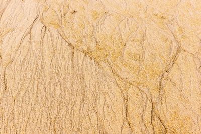 Full frame shot of textured wall