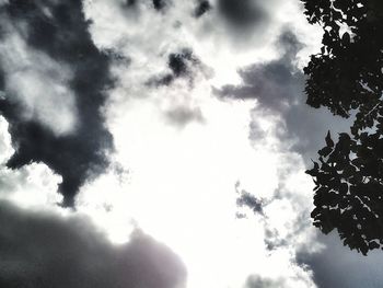 Low angle view of trees against cloudy sky