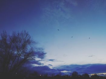 Low angle view of birds flying in sky