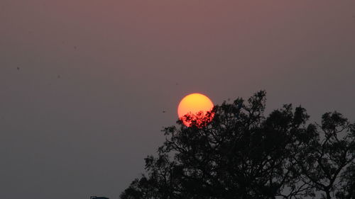 Low angle view of silhouette trees against sky during sunset