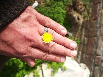 Close-up of hand with yellow flower