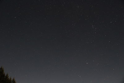 Low angle view of star field against sky at night